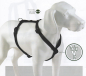 Preview: Hunter ORANGE Vario Y-Brustgeschirr Hundegeschirr Y-Geschirr