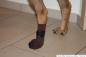 Preview: FlexSocken PETSAM® BRAUN Anti-Rutschsocken mit Fixierung Klettverschluss Hundesocken