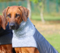 Preview: RÜCKLÄUFER Wintermantel Gr. L ♡ ♥ KIRA ♥ GRAU ♡ Petsam B-Ware