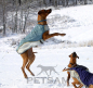 Preview: Hundemantel LUX Hellblau / Grau Gr. S