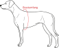 Preview: Hunter ORANGE Vario Rapid Brustgeschirr Hundegeschirr XL