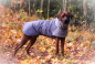 Preview: RÜCKLÄUFER Wintermantel Gr. L ♡ ♥ KIRA ♥ GRAU ♡ Petsam B-Ware
