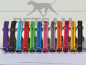 Preview: Halsband "Zugstop" Regenbogen gummiert verstellbar