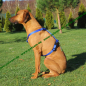 Preview: Hunter ORANGE Vario Y-Brustgeschirr Hundegeschirr Y-Geschirr