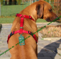 Preview: Hunter ORANGE Vario Y-Brustgeschirr Hundegeschirr Y-Geschirr