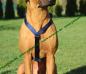 Preview: Hunter MARINEBLAU Vario Y-Brustgeschirr Hundegeschirr Y-Geschirr