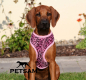 Preview: Fellimitat Softgeschirr LEOPARD ROSA (kleine Welpen) Geschirr