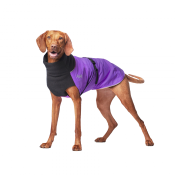 Chilly Dogs Great White North Wintermantel Black/Imperial Purple (Violett)