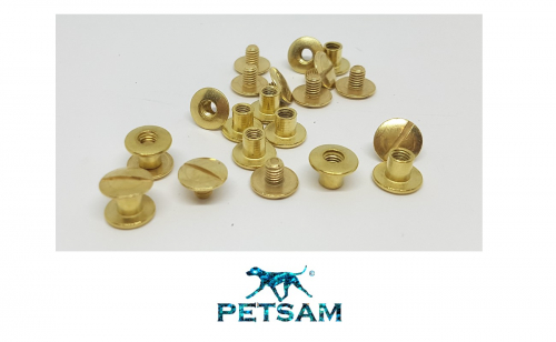 Buchschrauben Gold Loch 5mm Schaft 10er Set