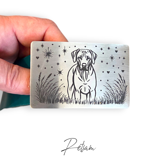 Preview: Gürtel mit Gürtelschnalle Wechselschnalle Edelstahl Maari 40er - Türkis / Kobel