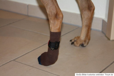 FlexSocken PETSAM® BRAUN Anti-Rutschsocken mit Fixierung Klettverschluss Hundesocken