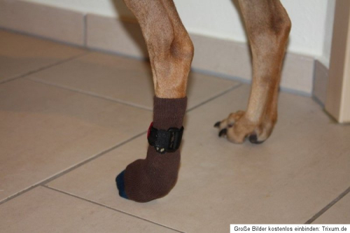 FlexSocken PETSAM® SCHWARZMUSTER Anti-Rutschsocken mit Fixierung Klettverschluss Hundesocken