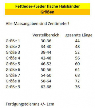 Biothane-Halsband mit Druck & Edelstahlschnalle, 16, 19 & 25mm Breite