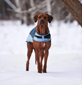 Hundemantel LUX Dunkelblau / hellblau Gr. S