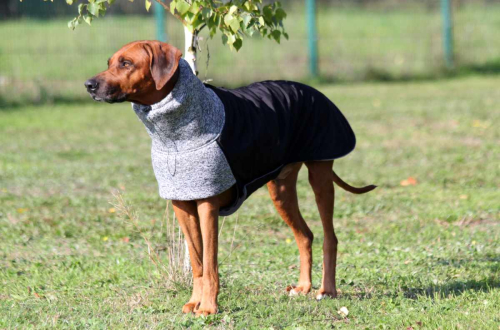 RÜCKLÄUFER Wintermantel Gr. L ♡ ♥ KIRA ♥ GRAU ♡ Petsam B-Ware