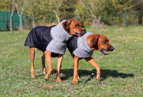 RÜCKLÄUFER Wintermantel Gr. L ♡ ♥ KIRA ♥ GRAU ♡ Petsam B-Ware
