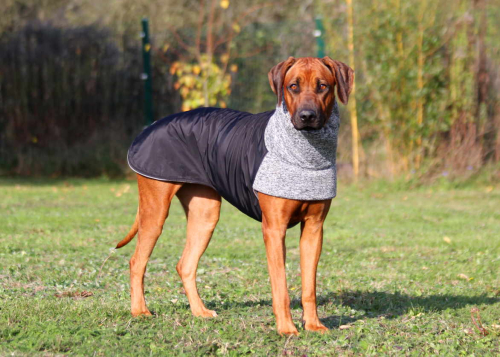 RÜCKLÄUFER Wintermantel Gr. L ♡ ♥ KIRA ♥ GRAU ♡ Petsam B-Ware