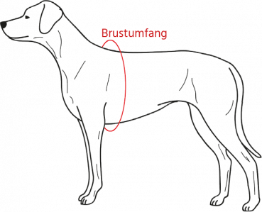 Hunter ORANGE Vario Y-Brustgeschirr Hundegeschirr Y-Geschirr