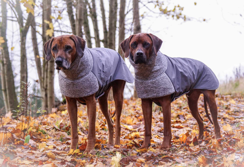 RÜCKLÄUFER Wintermantel Gr. L ♡ ♥ KIRA ♥ GRAU ♡ Petsam B-Ware