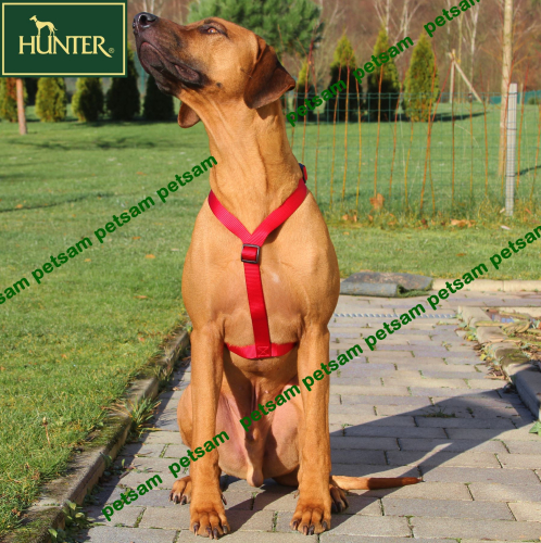 Hunter ORANGE Vario Y-Brustgeschirr Hundegeschirr Y-Geschirr
