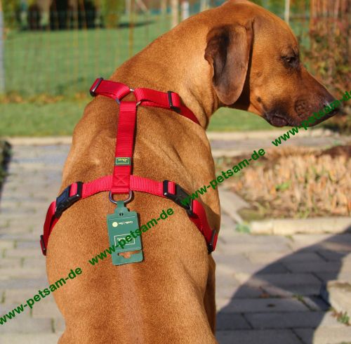 Hunter ORANGE Vario Y-Brustgeschirr Hundegeschirr Y-Geschirr