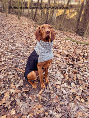 RÜCKLÄUFER Wintermantel Gr. L ♡ ♥ KIRA ♥ GRAU ♡ Petsam B-Ware