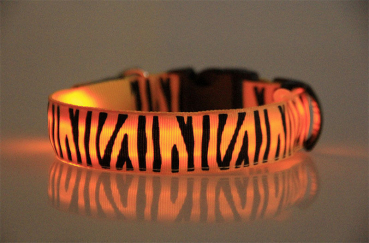 LED-Halsband orange Zebra (Batterie)