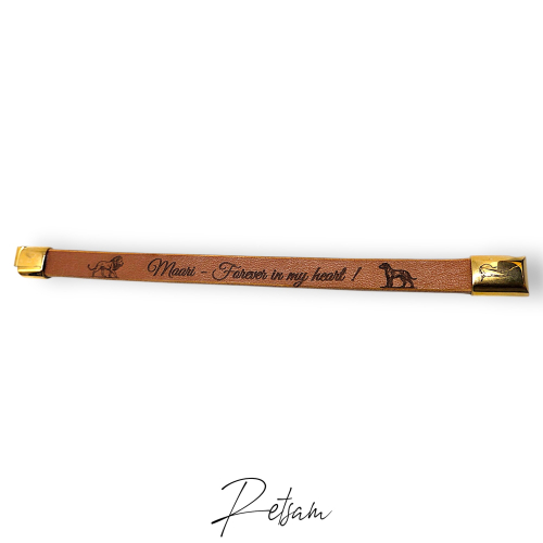 Magnetverschluss Edelstahl Goldfinish für 10mm