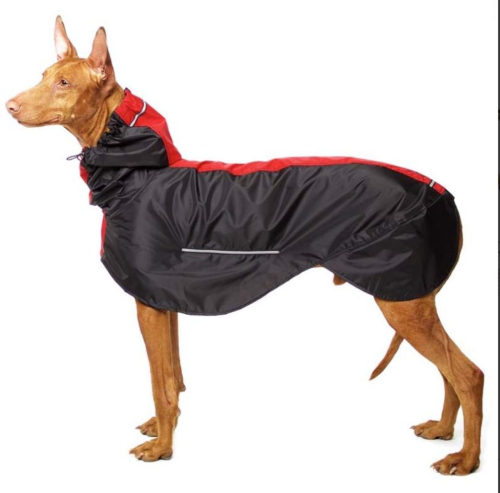 MANUEL Rain - Regenmantel - schwarz/Orange Gr. XL1