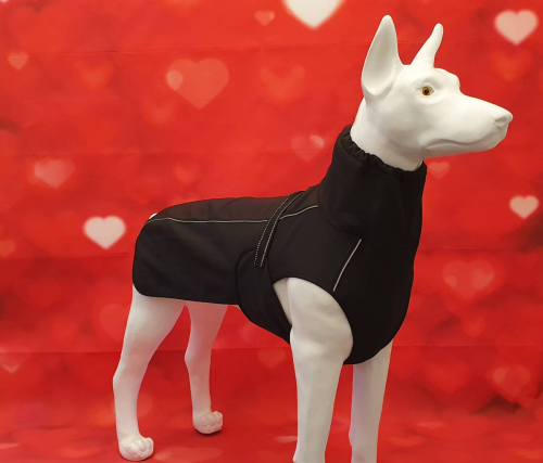 Softshellmantel schwarz mit Halsteil Gr. S - ABVERKAUF