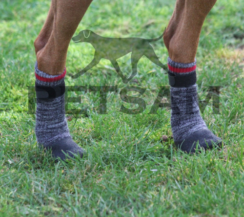 Hundesocken WASSERFEST grau melliert