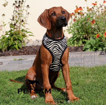 Fellimitat Softgeschirr ZEBRA (kleine Welpen)