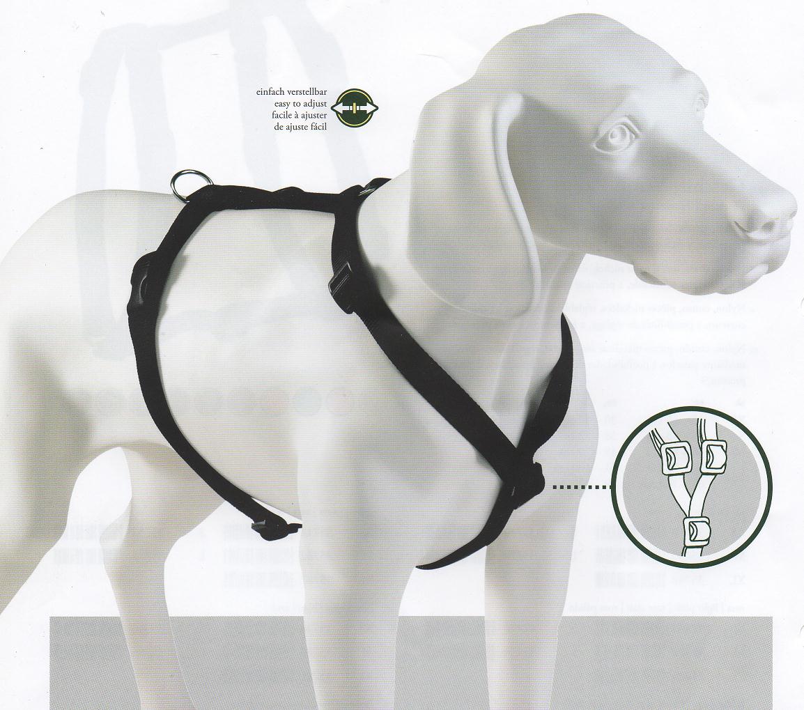 Geschirre Hundegeschirr mit floralem Muster Haustierbedarf Hunde Halsbänder & Leinen Geschirre Lucy & Co 