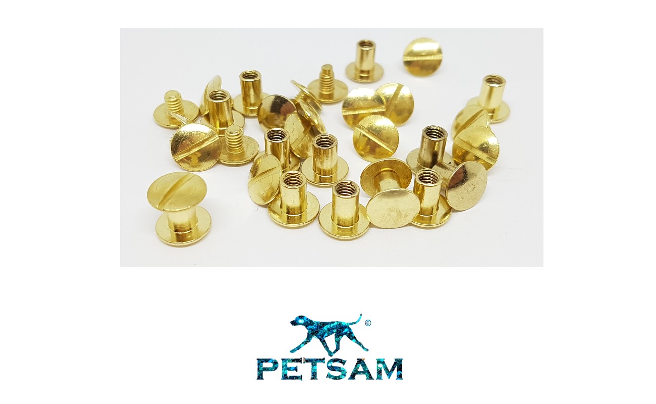 PETSAM ® - Buchschrauben Gold 7mm Schaft 10er Set