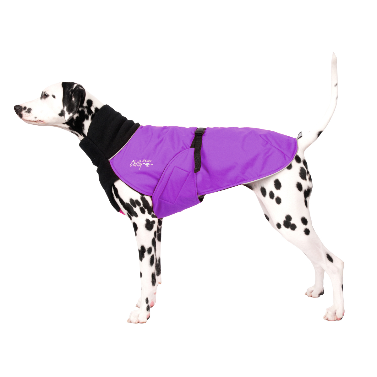 Chilly Dogs Great White North Wintermantel Black/Imperial Purple (Violett)
