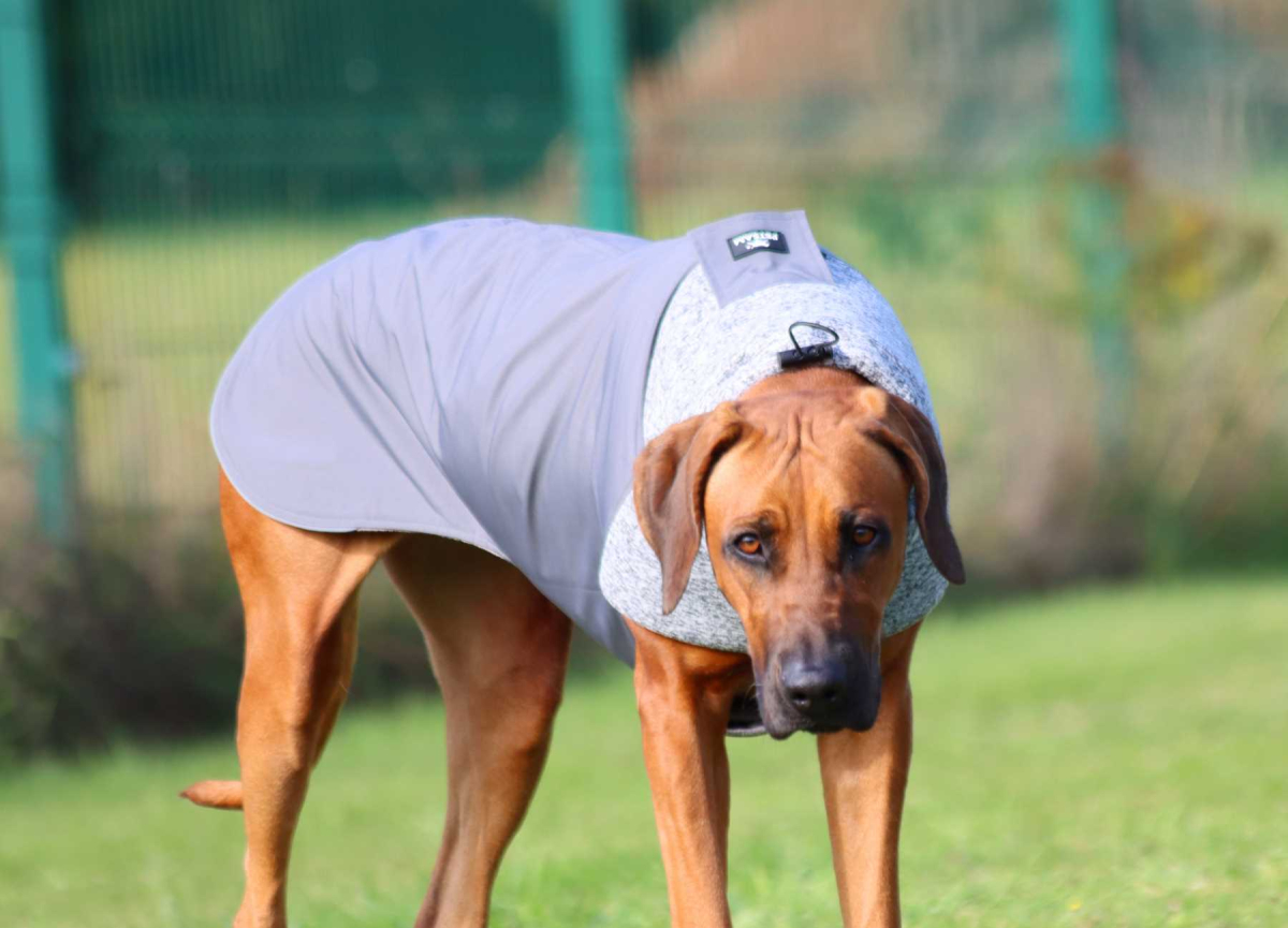 RÜCKLÄUFER Wintermantel Gr. L ♡ ♥ KIRA ♥ GRAU ♡ Petsam B-Ware