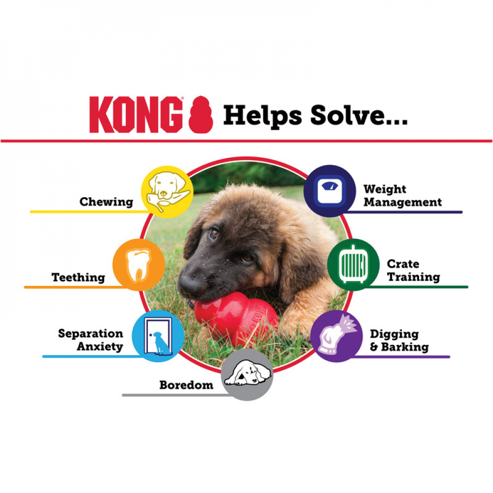 KONG® CLASSIC