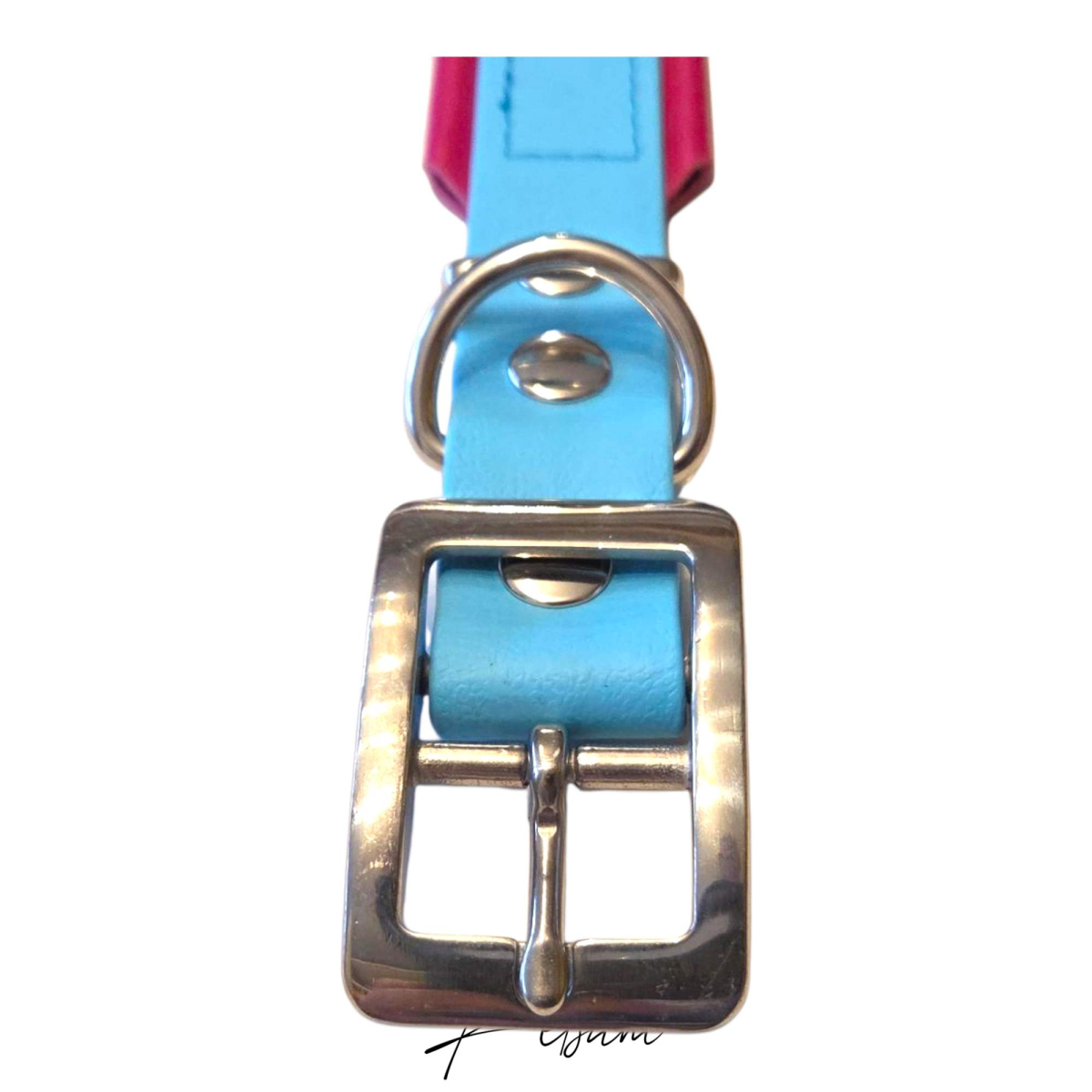 MW-Biothane-Halsband mit Leder unterlegt, sehr stabil!