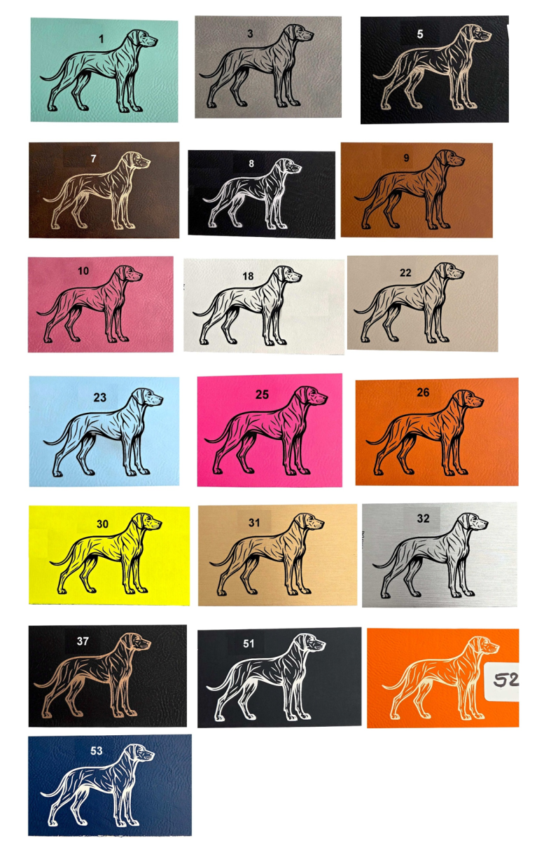 Impfpasshülle PU-Leder Motiv Ridgeback / Löwe