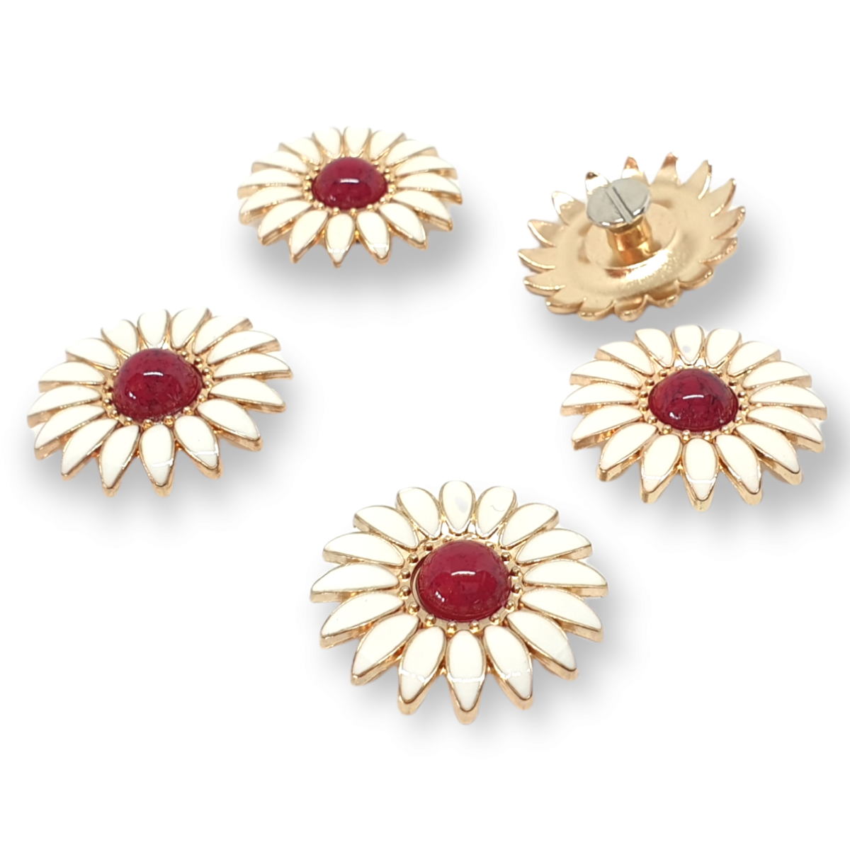 Concho Margerite rot (27)