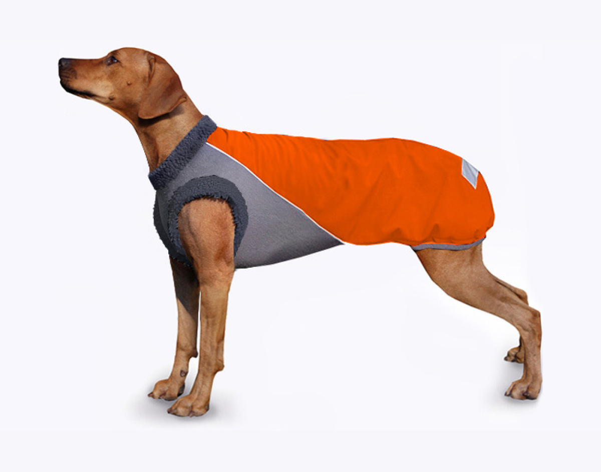 Softshellmantel -Winter Safety Neongelb/grau S - ABVERKAUF