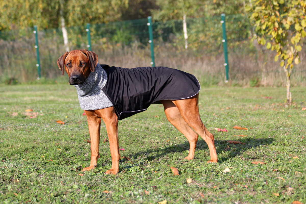 RÜCKLÄUFER Wintermantel Gr. L ♡ ♥ KIRA ♥ GRAU ♡ Petsam B-Ware
