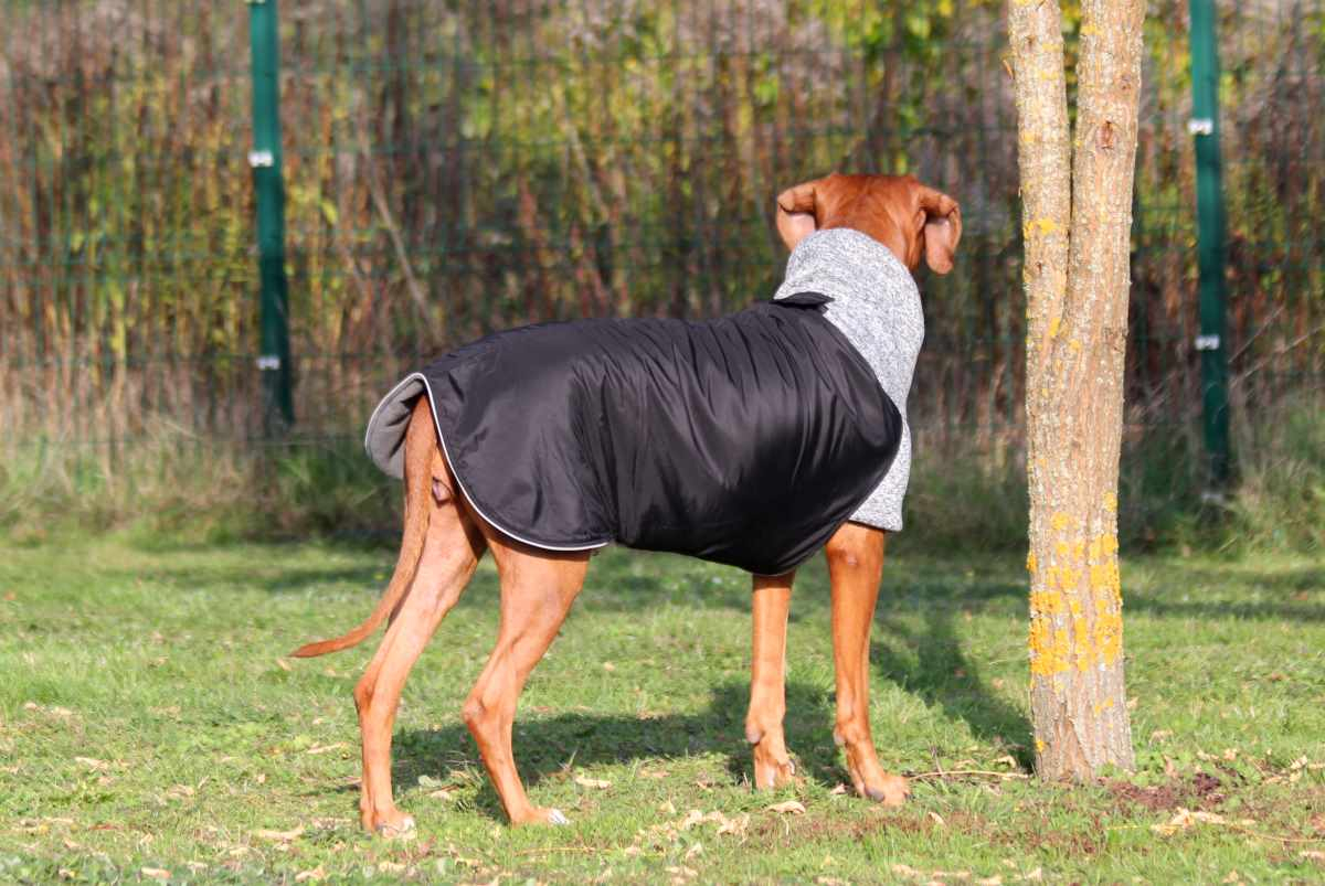 RÜCKLÄUFER Wintermantel Gr. L ♡ ♥ KIRA ♥ GRAU ♡ Petsam B-Ware
