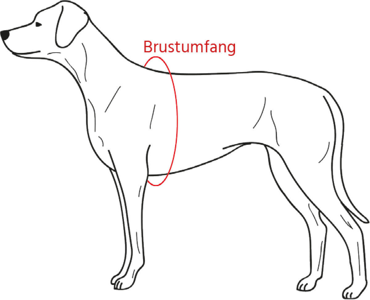 Hunter ORANGE Vario Rapid Brustgeschirr Hundegeschirr XL
