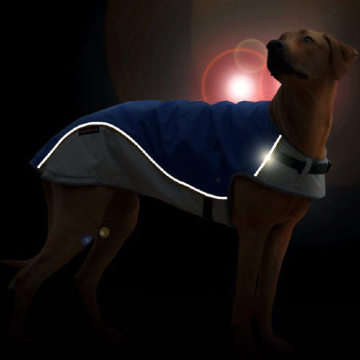 Hundemantel LUX Hellblau / Grau Gr. S