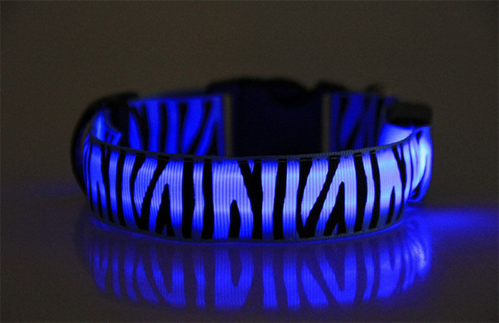 LED-Halsband blau Zebra (Batterie)