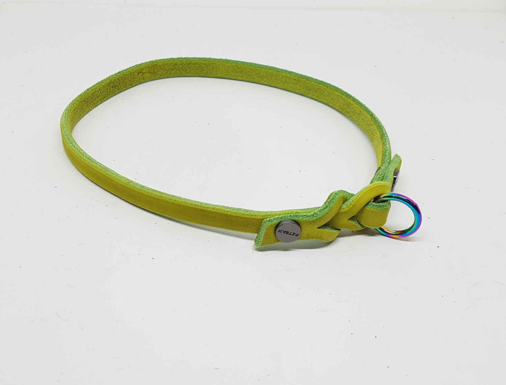 Marken-Band Fettleder Regenbogen Ring Markenbändchen