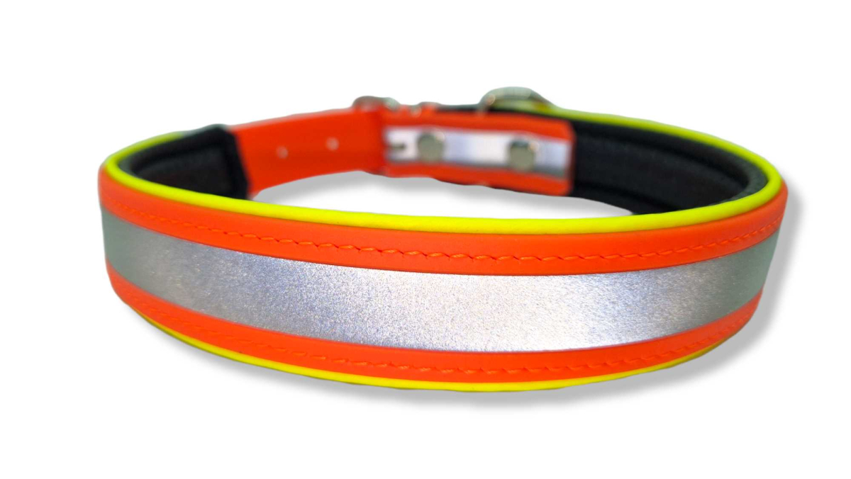 Anschnall- / Sicherheitsgurt für Autos in 25 mm BETA BIOTHANE® – neon  orange – Collar & Leash