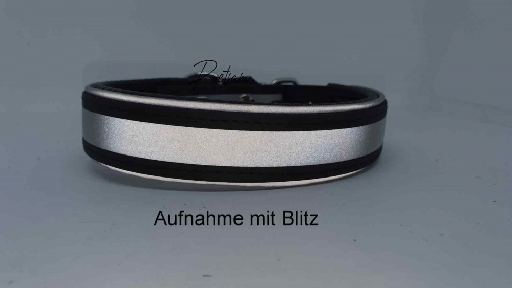 Biothane® SAFETY Halsband Schwarz/silber + Reflex & Unterlegung