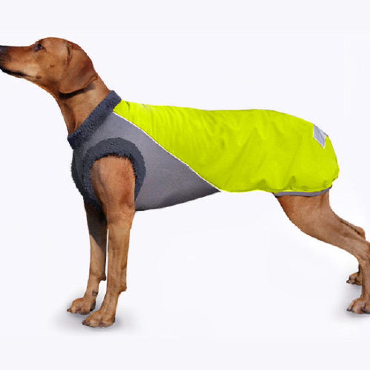 Softshellmantel -Winter Safety Neongelb/grau S - ABVERKAUF